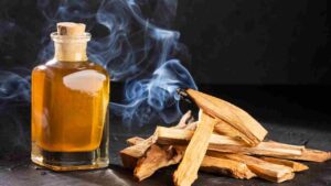 Leia mais sobre o artigo Palo Santo na Aromaterapia: O Sagrado Perfume