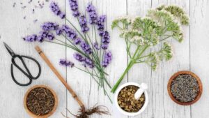 Leia mais sobre o artigo Valeriana na Aromaterapia: O Poder Tranquilizante da Natureza