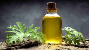 Leia mais sobre o artigo Citronela na Aromaterapia: Um Escudo Perfumado